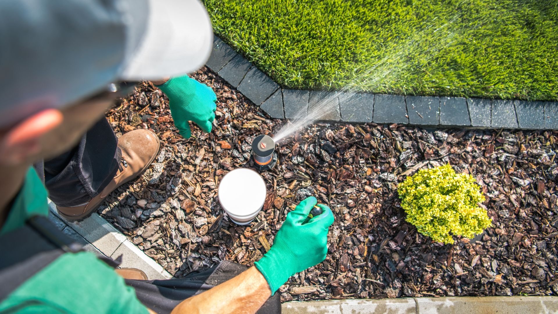 Gardener adjusting irrigation sprinkler system near green lawn and mulch