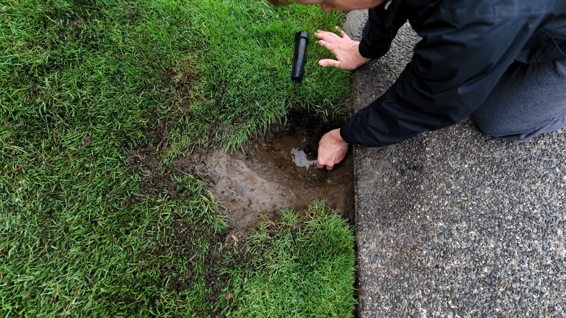 Hands digging small hole in grassy ground near concrete surface