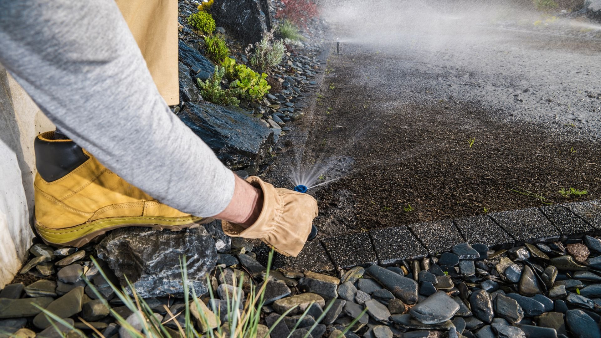 Hand in glove watering landscaped garden with sprinkler on rocky ground