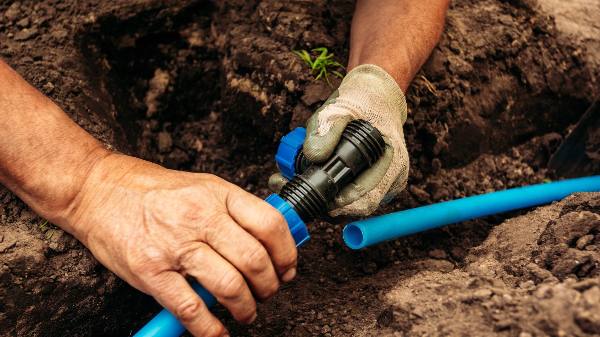 Hands installing blue irrigation pipe in soil with small plant
