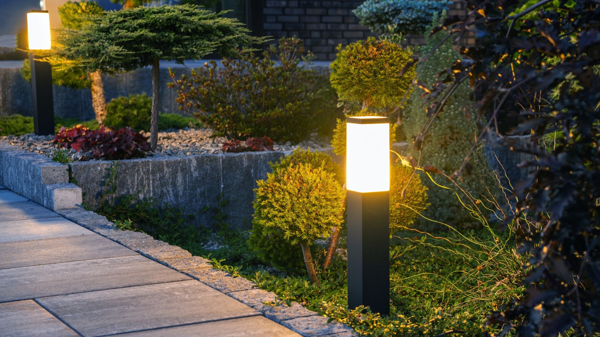 Illuminated garden path with stone border and topiary trees at night